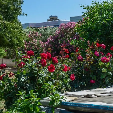 Golden Glyfada Apartament
